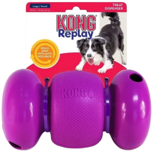 Kong Replay