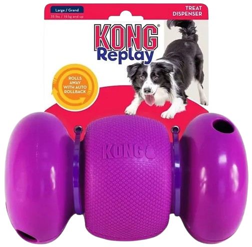 Kong Replay