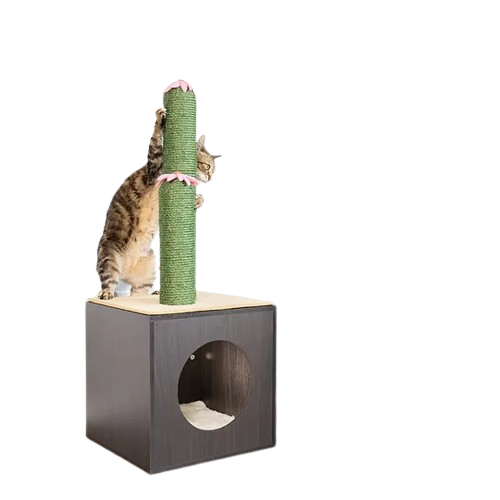 Rascador Para Gato - Cactus Cubbi