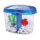 Kit Aqueon - Pecera para Betta