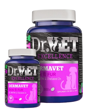 Dr. Vet Dermavet 500 tab