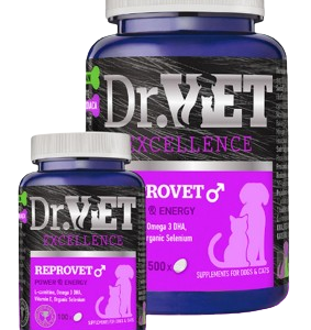 Dr.Vet Reprovet Male 100tab