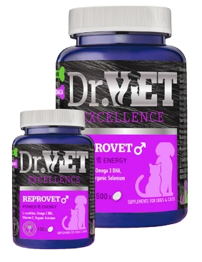 Dr.Vet Reprovet Male 100tab