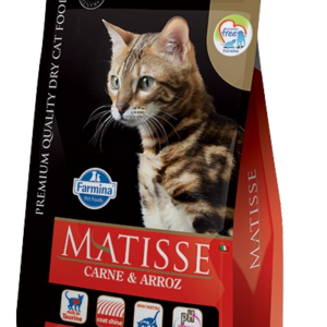 Matisse Gato Adulto CARNE Y ARROZ - 2kg