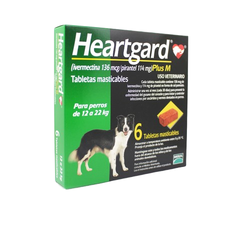 HEARTGARD PLUS M (caja 6 unidades)