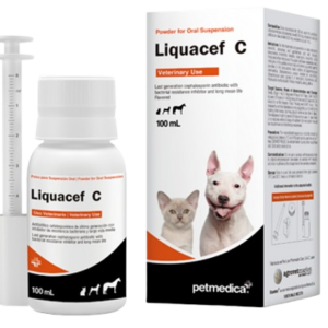 LIQUACEF C - 100ml