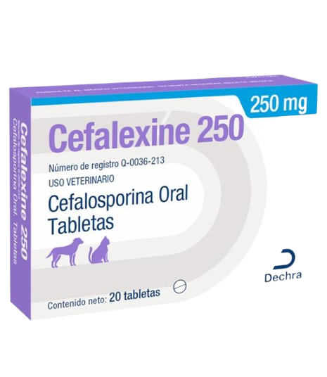 CEFALEXINA 25OMG 20 TABLETAS