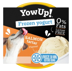 YowUp! - Frozen Yogurt Salmón 110gr