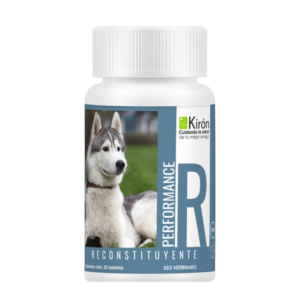 PERFORMANCE RECONSTITUYENTE 30 TABS