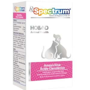 Amoxicilina Ácido Clavulánico Suspensión Oral 30ml