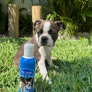 Shampoo Antipulgas Pet Clean Aroma a Chicle 250ml