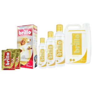 CHAMPÚ BRILLO 120ml