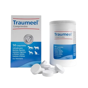 Traumeel LT - 50 Comprimidos