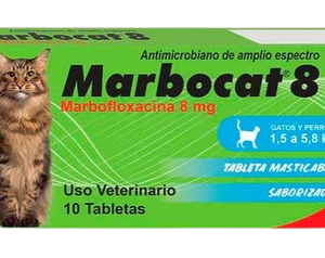 MARBOCAT 8mg - 10 Tabletas