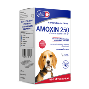 AMOXIN 250 - 30ML