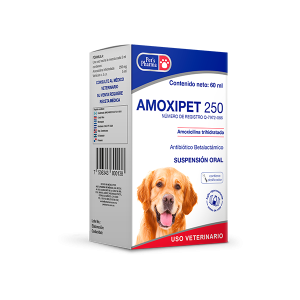 AMOXIPET 250 - 60 ML