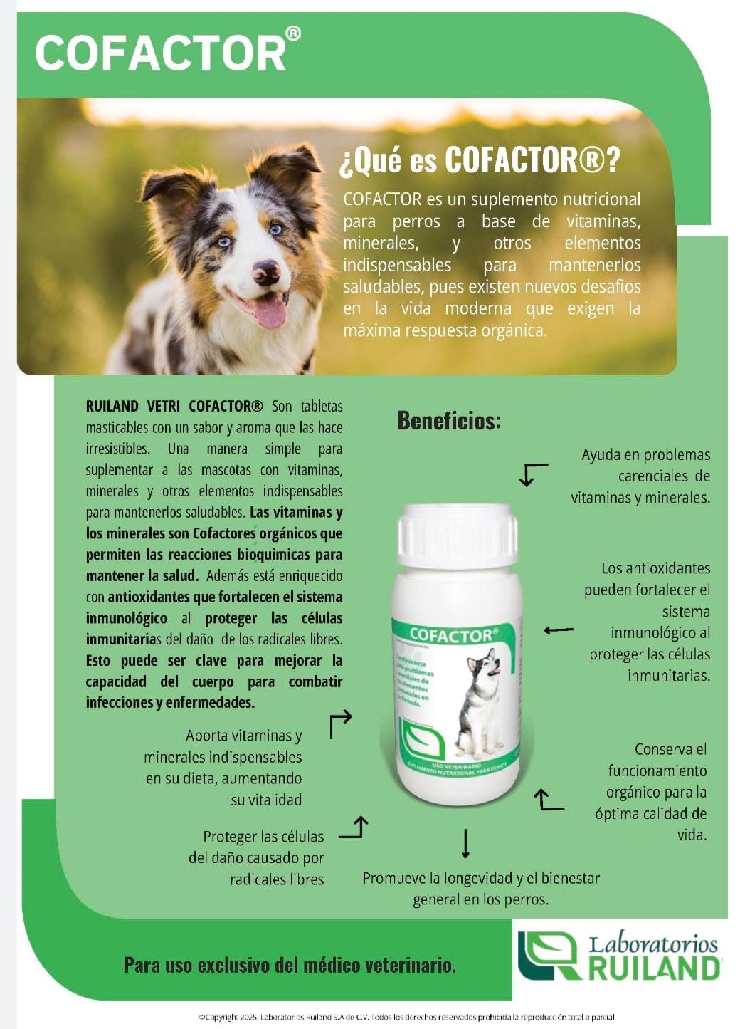 Ruiland Vetri-Cofactor 60TAB - Image 2