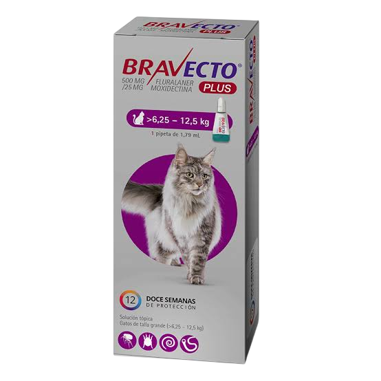 bravecto12