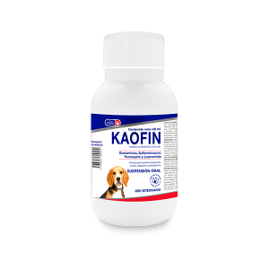 KAOFIN - 60 ML