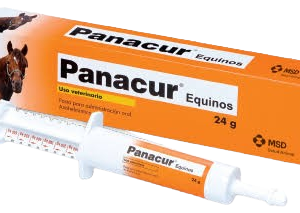 PANACUR PASTE EQUINE 24G